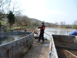 fotogalerie vylov01 thumb